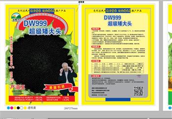 高油王DW999——油葵种子