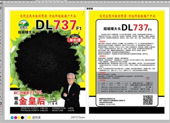 超级矮大头DL737——油葵种子